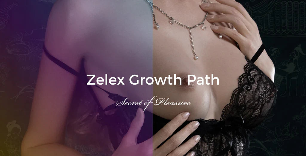ZELEX Growth Path —— Product and Technology Development