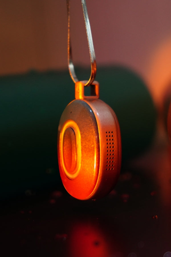 Vine Talk AI BOX Necklace for Sex Dolls - BestDollForYou