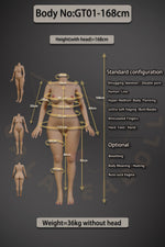 US In Stock - 168cm/5ft6 D-cup Real Skin Texture Silicone Sex Doll GT01 – JS047 Tan - 我的商店