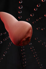 ⭐️CLM Pro⭐️ | Silicone Masturbation Cup Sex Toy L-Vagina 122 Cinnamon - BestDollForYou